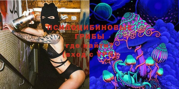 герыч Арсеньев