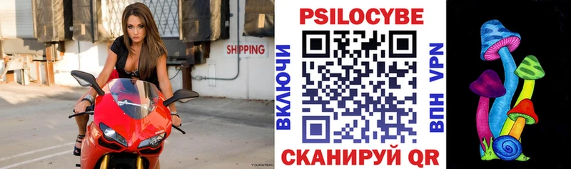 Галлюциногенные грибы Psilocybe  Свободный 